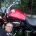 Buli Avatar